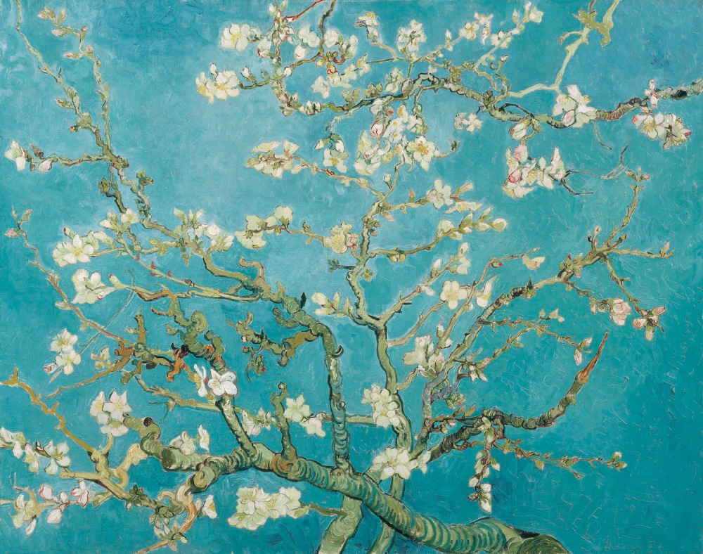 Vincent_van_Gogh_-_Branches_of_an_Almond_Tree_in_Blossom_(F671)
